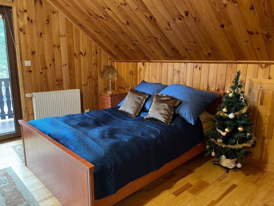 Ferienhaus Beskidium - Uroczy Dom Brenna